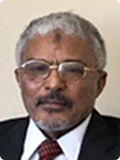 Prof Ismail Abdalnabi