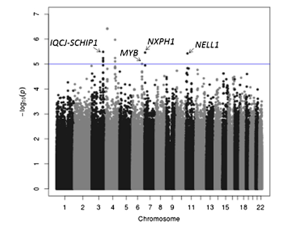 GWAS plot