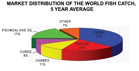 market distribution of the world fish catch 5 year