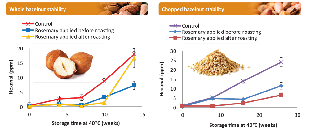 Hazelnut Stability