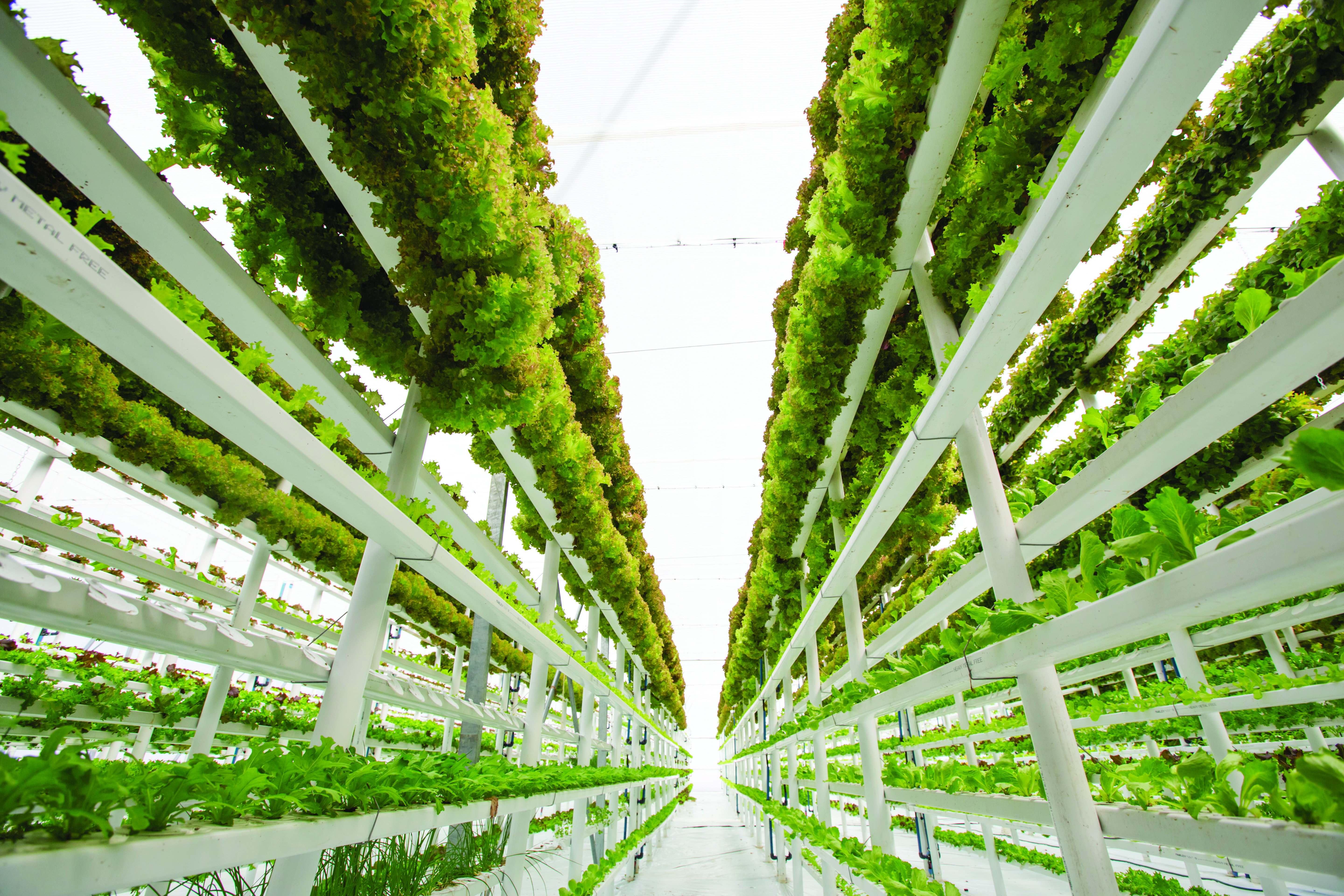 An example of a vertical farming system