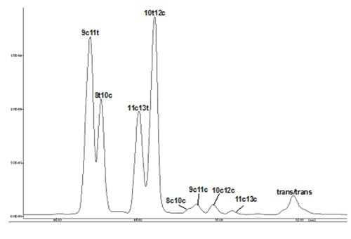 GC separation of CLA methyl esters