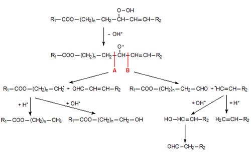 Formation of short-chain compounds from allylic hydroperoxides