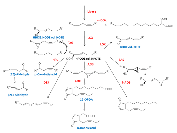 fig1