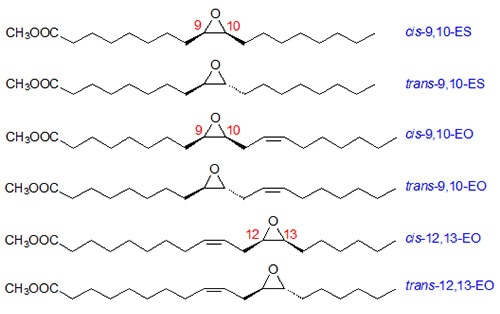 Monoepoxides obtained from oleic and linoleic acids