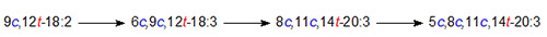 metabolism of trans-linoleate to trans-arachidonate