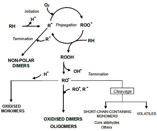 Simplified scheme of thermal oxidation