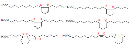 Some of the fatty acids produced during cyclization of linoleate