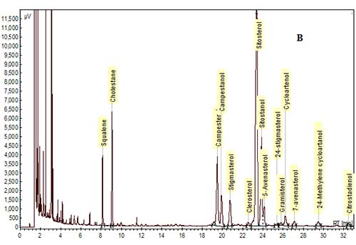 Figure 3b