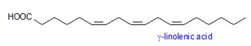 gamma-linolenic acid
