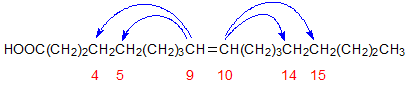 Carbon atoms involved in the cyclization of linoleate