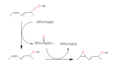 Figure 8
