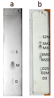 Figure 5. Quantitative Ag-TLC