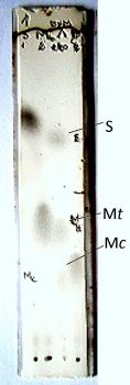 Figure7A2