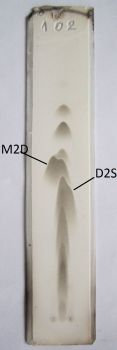 Figure 7B