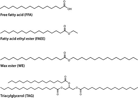 Fig. 1 Exemplary chemical structures of industrial