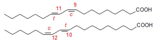 Formulae of CLA isomers