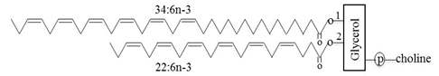 phosphatidylcholine molecule
