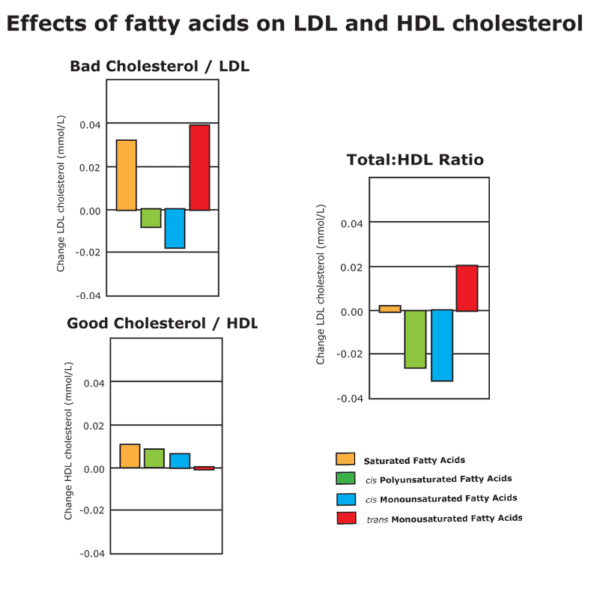 Effects of fatty acids on LDL and HDL cholesterol