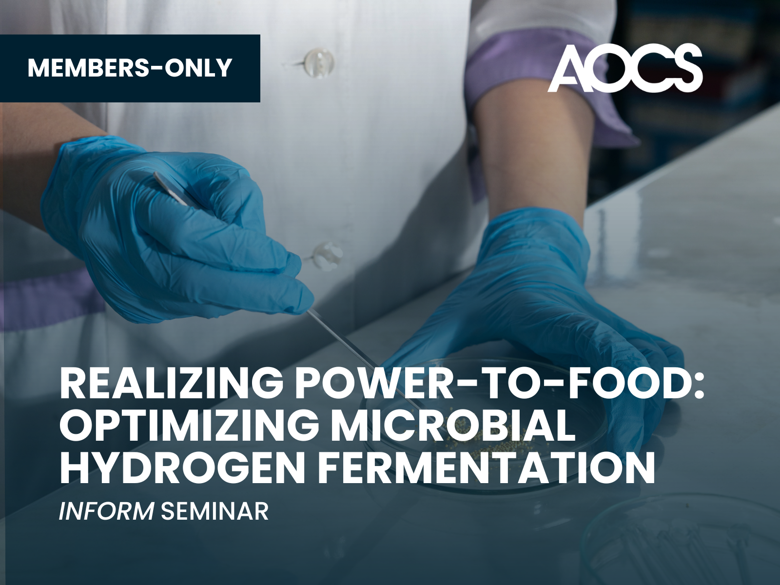 A close up of hands in blue lab gloves with a Petrie dish cultivating bacteria on a white counter top