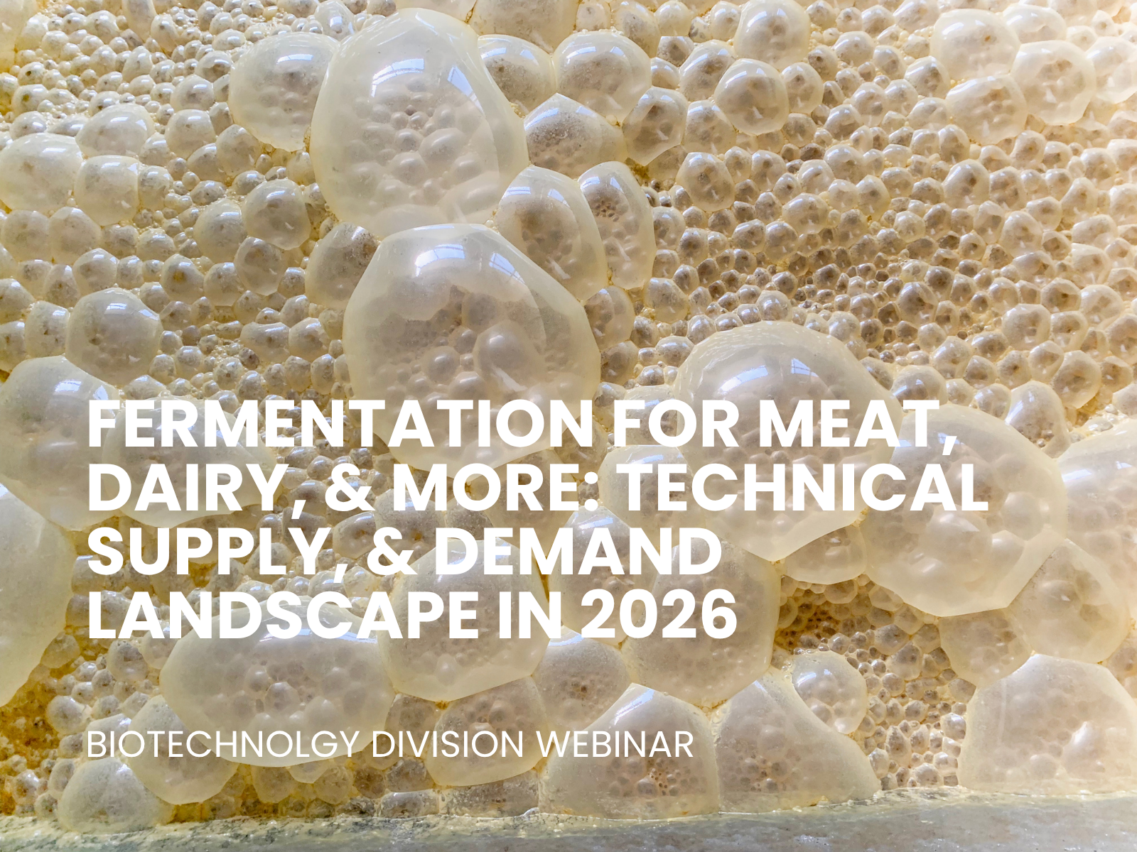 Fermentation for meat, dairy, technical supply and demand landscape in 2026