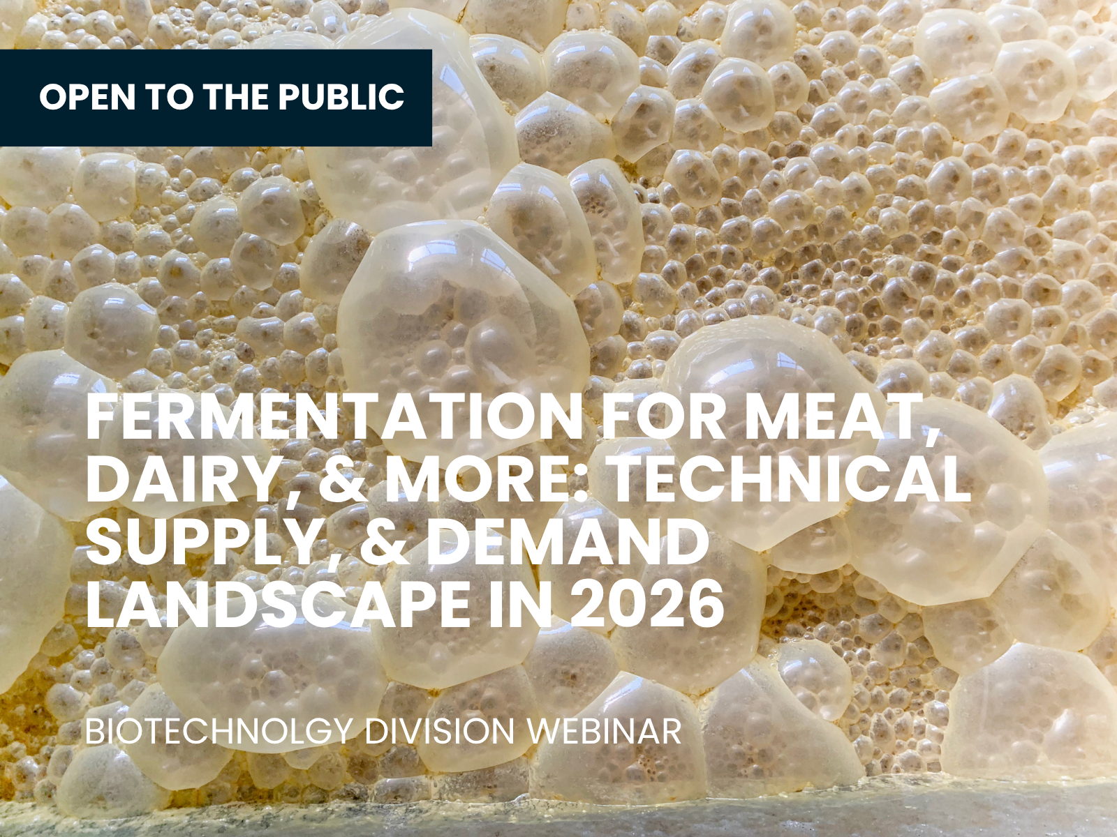 open to the public webinar fermentation