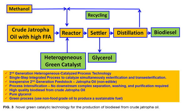 FIG. 3. Novel green catalytic technology for the p
